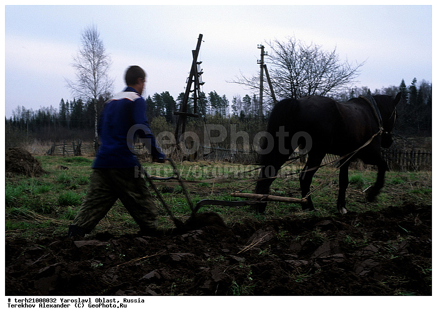 ����������� �������