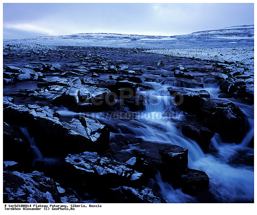 �����, ��������, ������, ������, ������ ��������, ����, �����, ����, ����, ��������