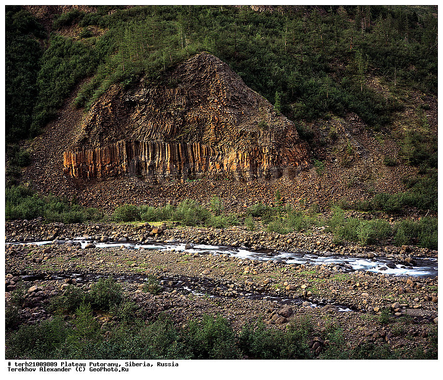 �����, ��������, ������, ������, ������ ��������, ����, �����, ����, ����, ��������