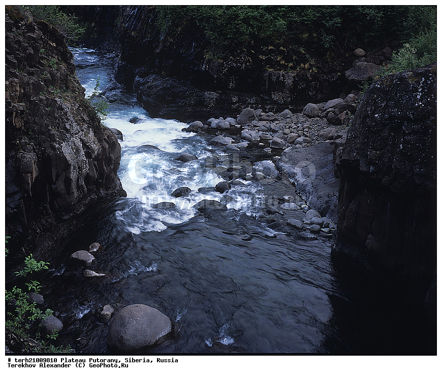 �����, ��������, ������, ������, ������ ��������, ����, �����, ����, ����, ��������