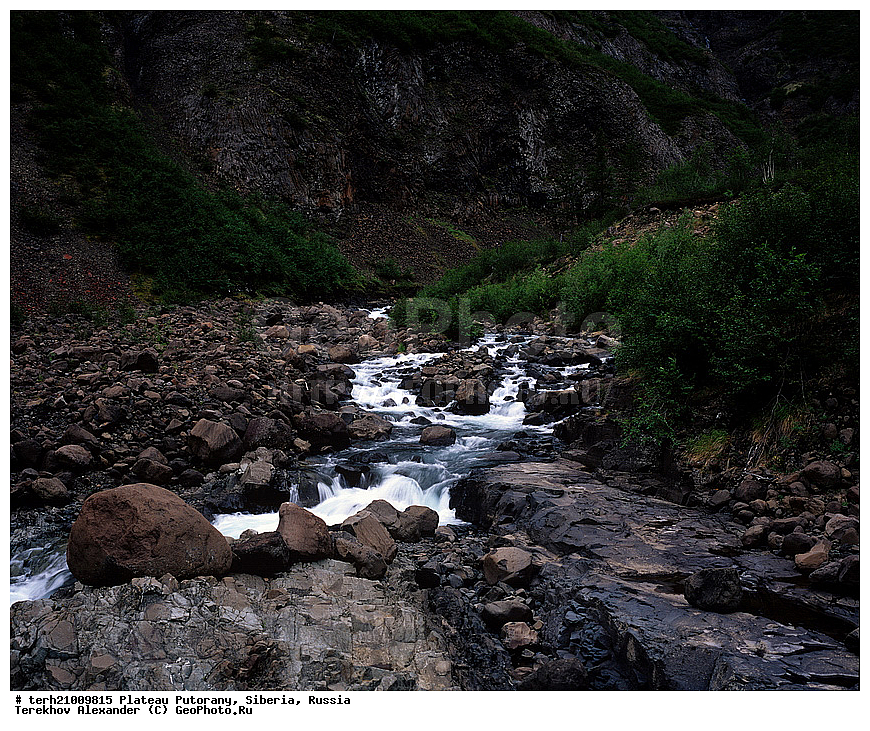 �����, ��������, ������, ������, ������ ��������, ����, �����, ����, ����, ��������