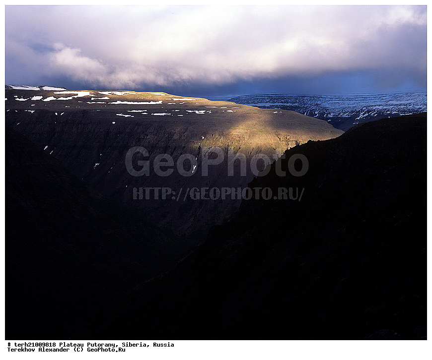 �����, ��������, ������, ������, ������ ��������, ����, �����, ����, ����, ��������