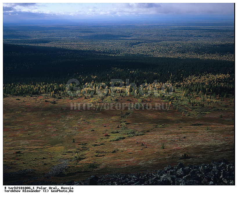 ����������� ����, ������, �����, ����, ����, ���������, �����, ���, ������, �����, ���� ���� ��, �����������, ��������, ������, ��������� ����