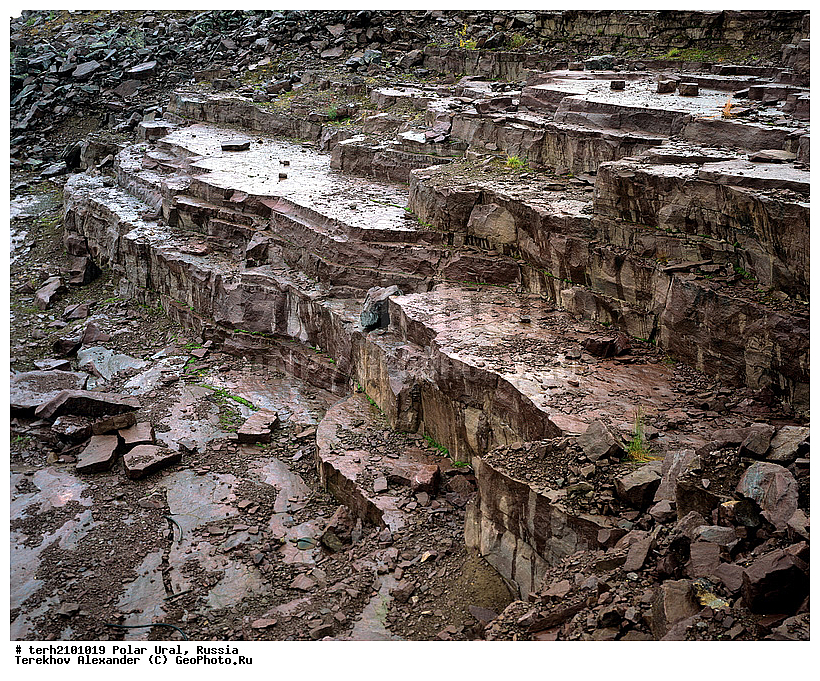 ����������� ����, ������, �����, ����, ����, ���������, ������, �������, ���� ���� ��, ������, �����������, �����, ��������� ����, �������