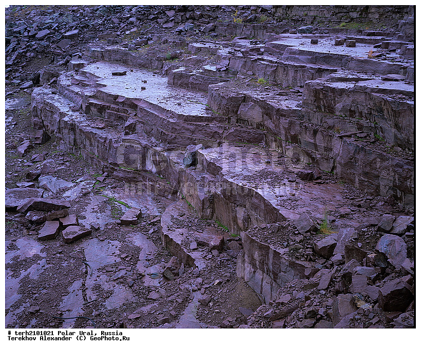 ����������� ����, ������, �����, ����, ����, ���������, ������, ����������������, ���� ���� ��, ������, �����������, �����, ��������� ����, �������