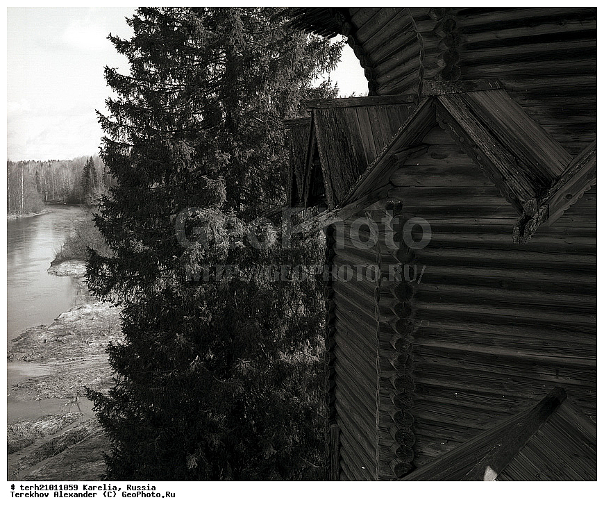 �������, ��������, �����, ����������, �������� ���������, �������