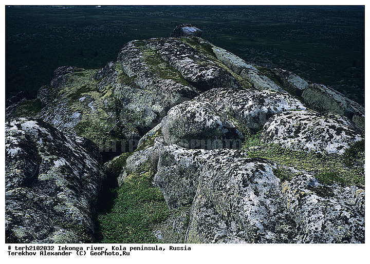 ��������, ��������, �����, ��������, ���������, �����, ������, �����, ����, �����