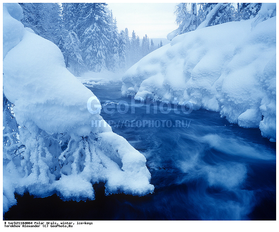 �������� ����, ����, ����, ���������.��� �����, ����, ����, ����, ���� 