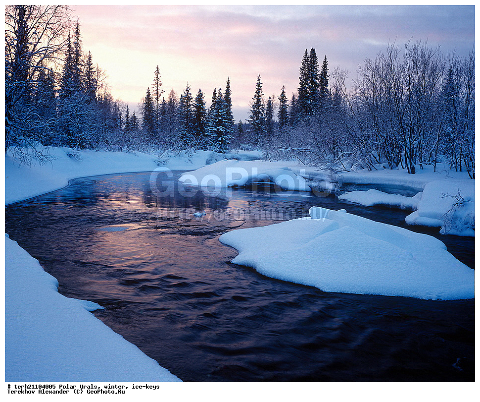 �������� ����, ����, ����, ���������.��� �����, ����, ����, ����, ���� 