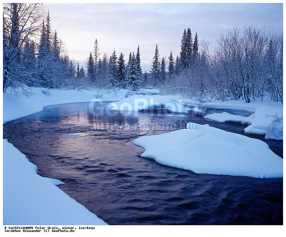 �������� ����, ����, ����, ���������.��� �����, ����, ����, ����, ���� 