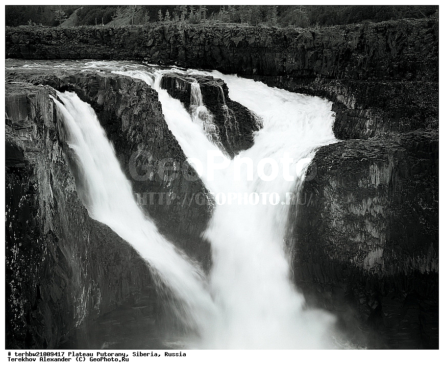 �����, ��������, ������, ������, �������, ������ ��������, ����, �����, ����, ����, ��������