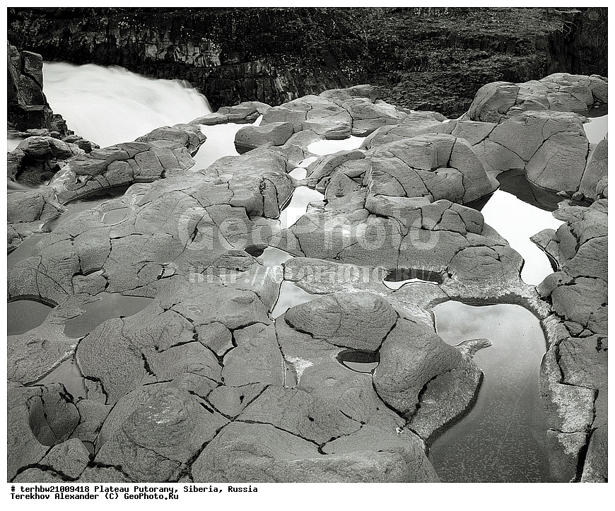 �����, ��������, ������, ������, ������ ��������, ����, �����, ����, ����, ��������