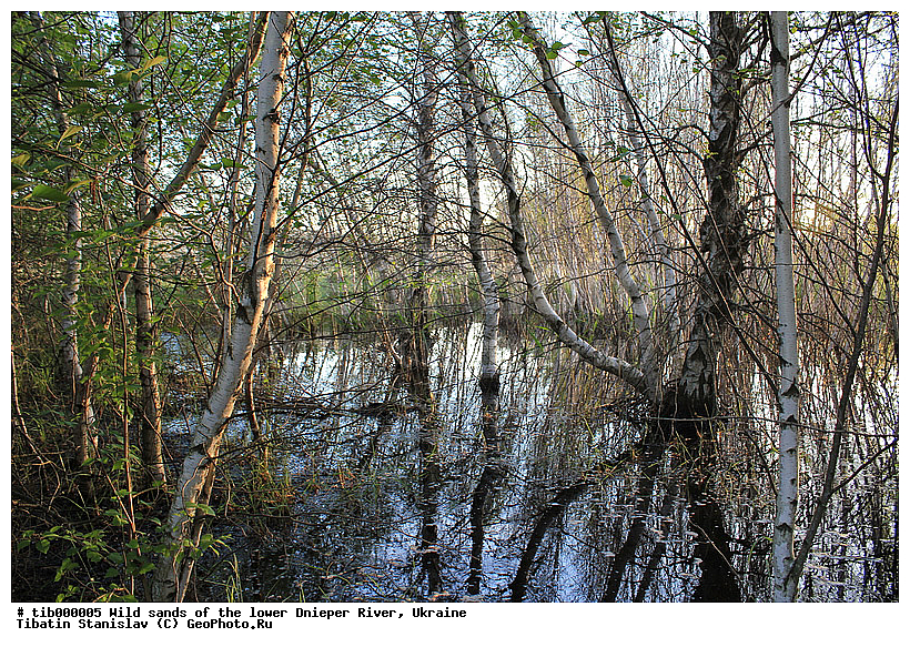 �����, �������, ���������, �����, �������, �������