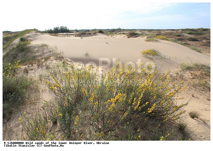 �����, �������, ���������, �����, �������, �������