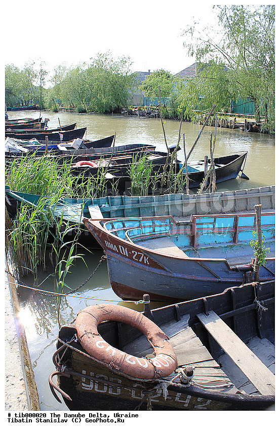 ������, �����, �������, ����, ����