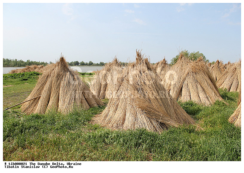 ������, �����, �������, ����, ����