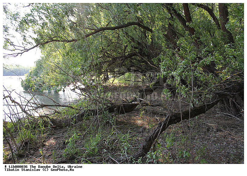 ������, �����, �������, ����, ����