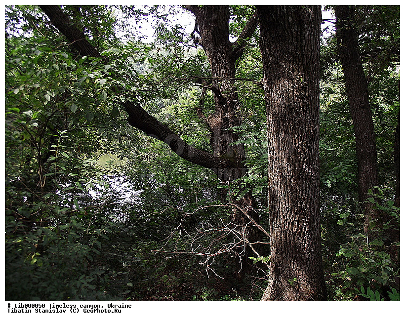 ������, �������, ����� ���