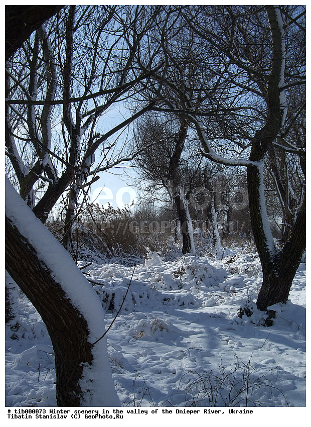 ������, ����, �������