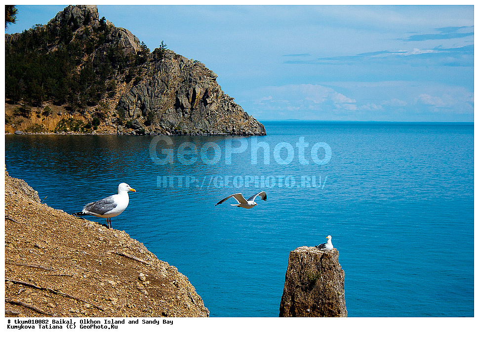 ������, �����, �����, ��������, ������, �����, ����������� �����, ����� � ������, ����� �� �����, �����