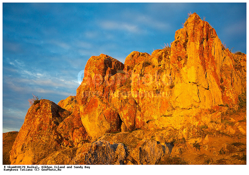 ������, �����, ������, ������, ������, �����, ��������� ����, �������