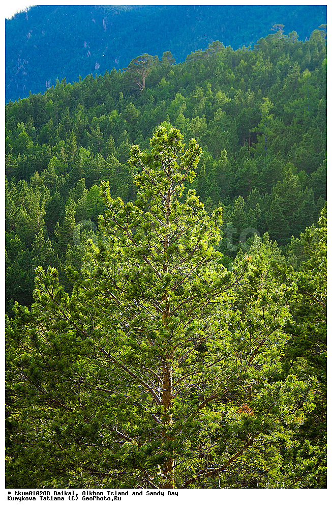 ������, �����, �����, ��������, ������, ����, �����, �������������� ������������ ����