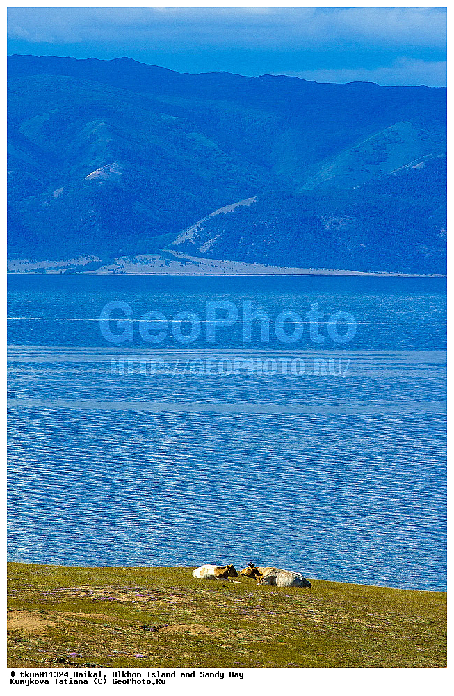 ������, �����, ������, ������, ������ ����� ����, ������ �� ������, ������, ����� ����, ������, ��������� ����, ���������� �������, ��� �� ���� 