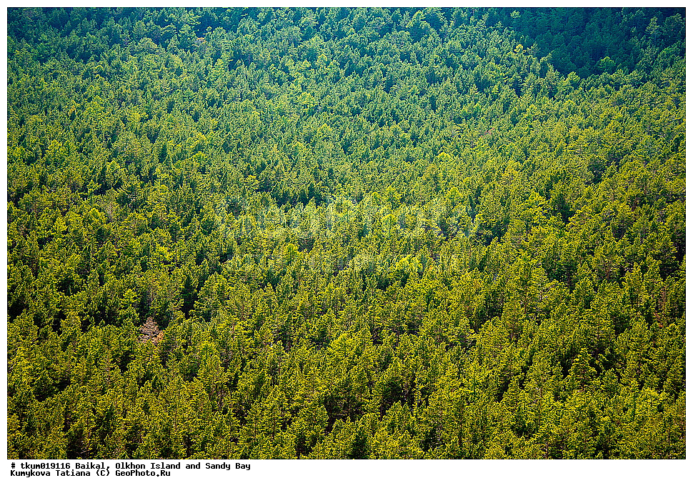 ������, ��������, ���, �������������� ������������ ����, �����, �����, �����, ��������� ����, ���������� �������, ��� ������