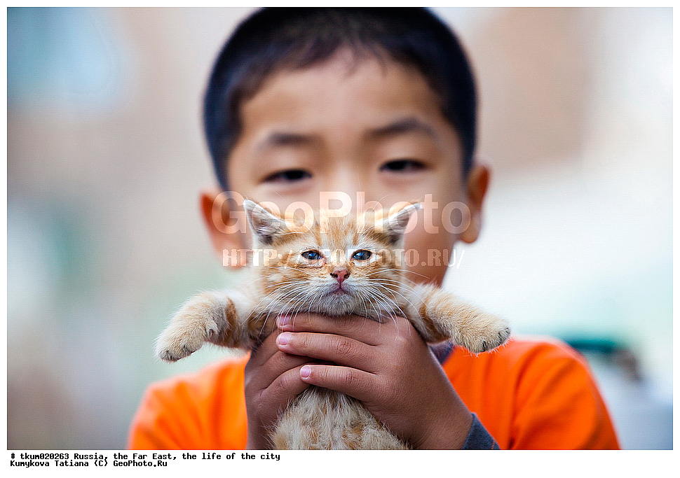 ������, ������� ������, ���������, ��� �����, ������� ������, �������, �������, �����, �������