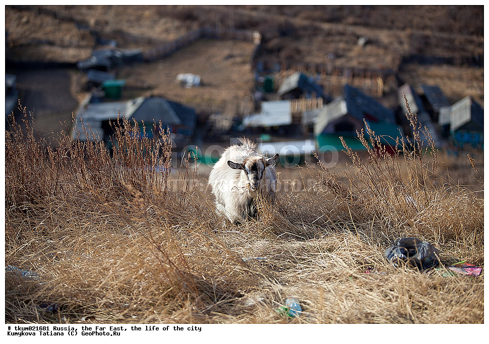 ������, ������� ������, �����, ����� ����, �������, ������, ��� ������, ����������� ����, �������, �������, ����, �����, ��������