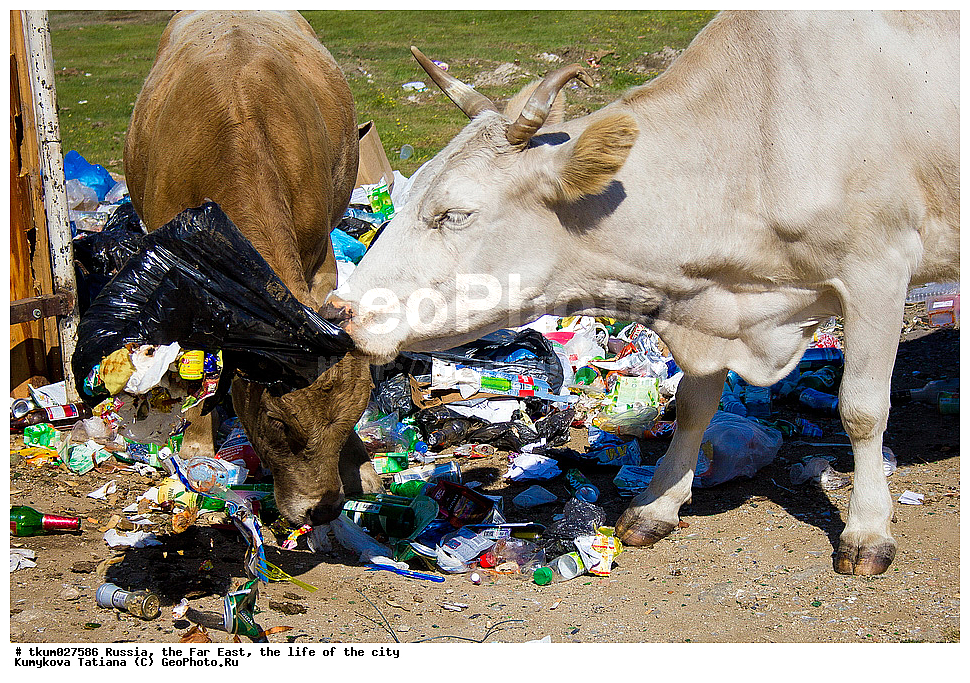 ������, ������� ������, �����, ������, �����, ������ ������, ������, ������ ���� ���, ������