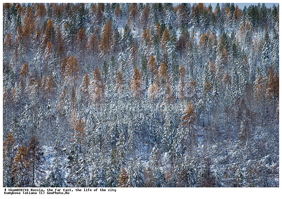 ������, ������, ������� ���������, ����� ���, �����, ���, �����, ������� �������, ����� � �����, ��������, ��������� �����