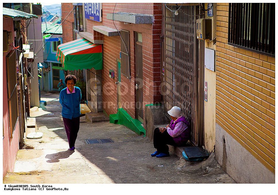 ����� �����, ����� ������, ���������� ������� �������, �����, ������� ��������, ��������