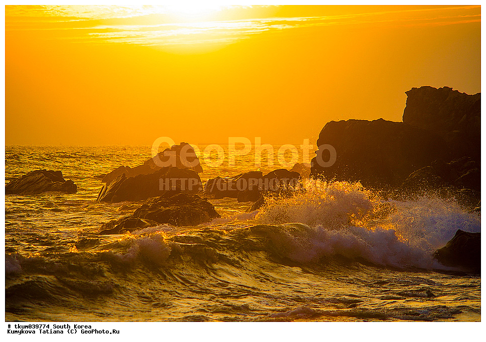 ����� �����, �������� ����, �����, ������, �����, ������ �������, �����, ������, �����