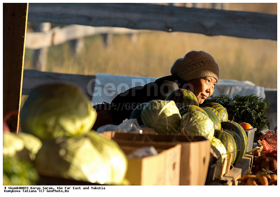 ������, ������, ������, ��������, ���� �����, ������� �������, ��������, ��������, �����, �������, �������, �������������������� �������