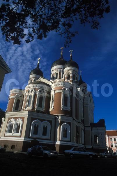 �������, ����������, ������, ������, �������