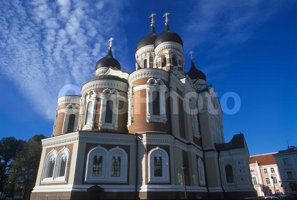 �������, ����������, ������, ������, �������