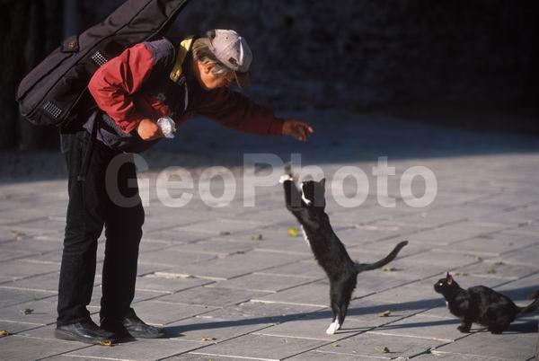 �������, ����������, ������, ������, �������