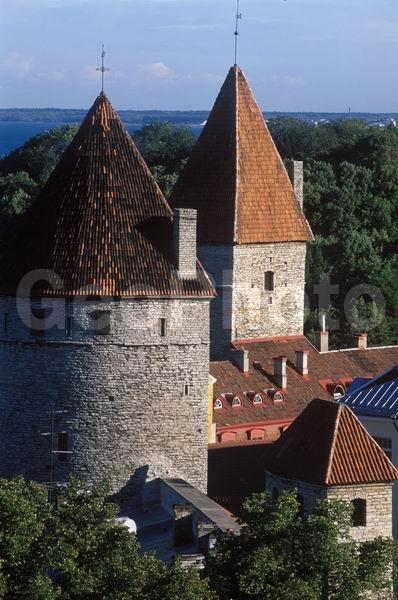 �������, ����������, ������, ������, �������