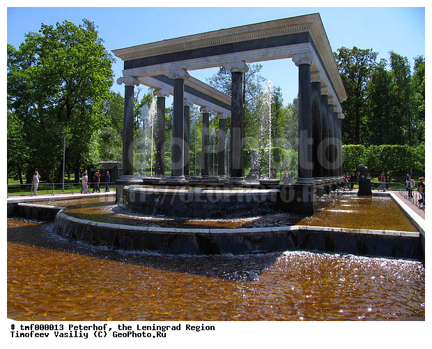 �����������, �������