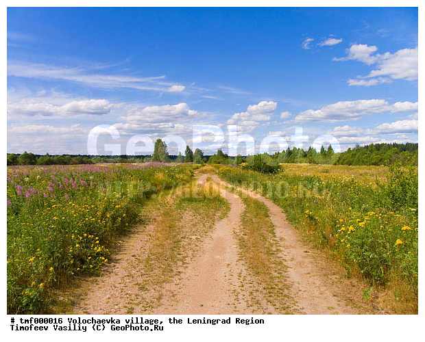 ����������, ���������� �����, ������������� �������, ������, �������, ������� ����������, ������, ���, ����, ������, ������, ����, �����