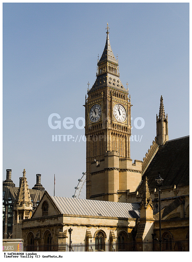 ������, ��������������, �������, ��� ���