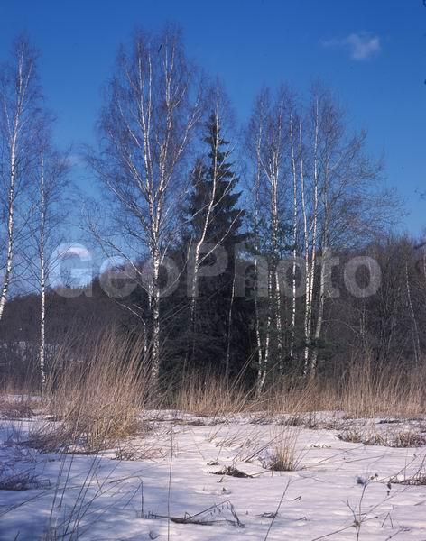 ������, ������� ����, �������, ������������� ������