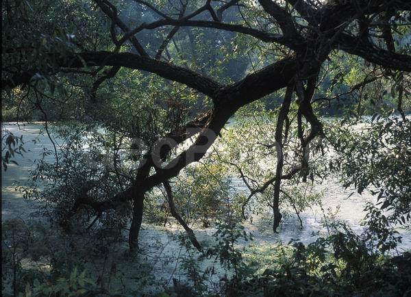 ������, ������� ����, �������, ������������� ������