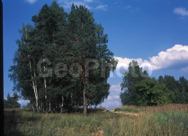 ������, ������� ����, �������, ������������� ������