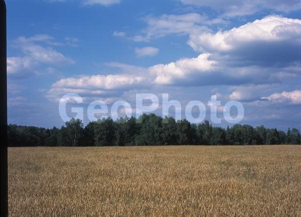 ������, ������� ����, �������, ������������� ������