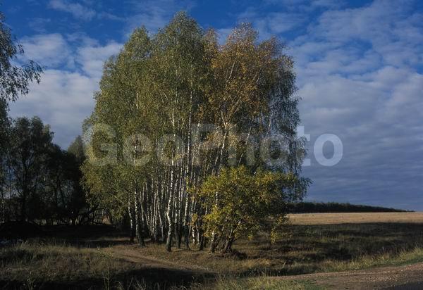 ������, ������� ����, �������, ������������� ������