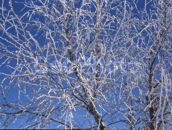 ������, ������� ����, �������, ������������� ������