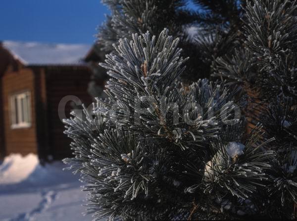 ������, ������� ����, �������, ������������� ������