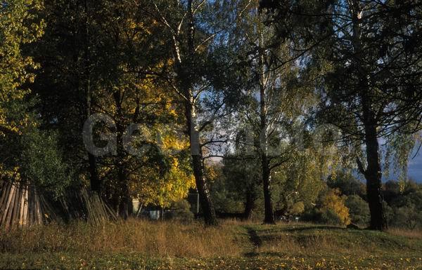 ������, ������� ����, �������, ������������� ������